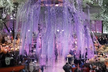 小红书刷数据比例是多少合适呢缩略图