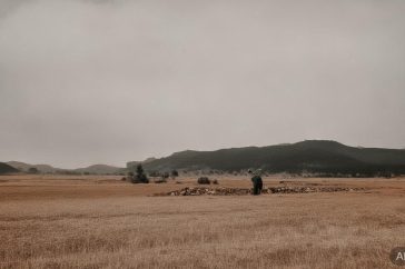 快手怎么看对方的粉丝缩略图